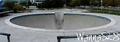skate photo