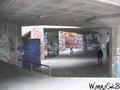 skate photo