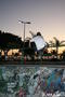 skate photo